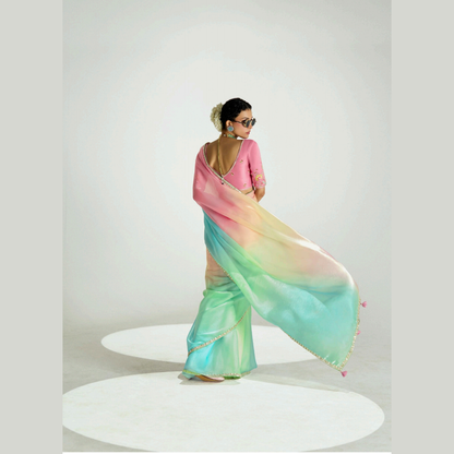 Noorani Resham Saree