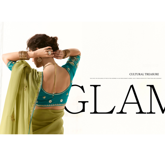 light green with a blue Runway Organza Tissue Saree with Heavy Embroidered Border