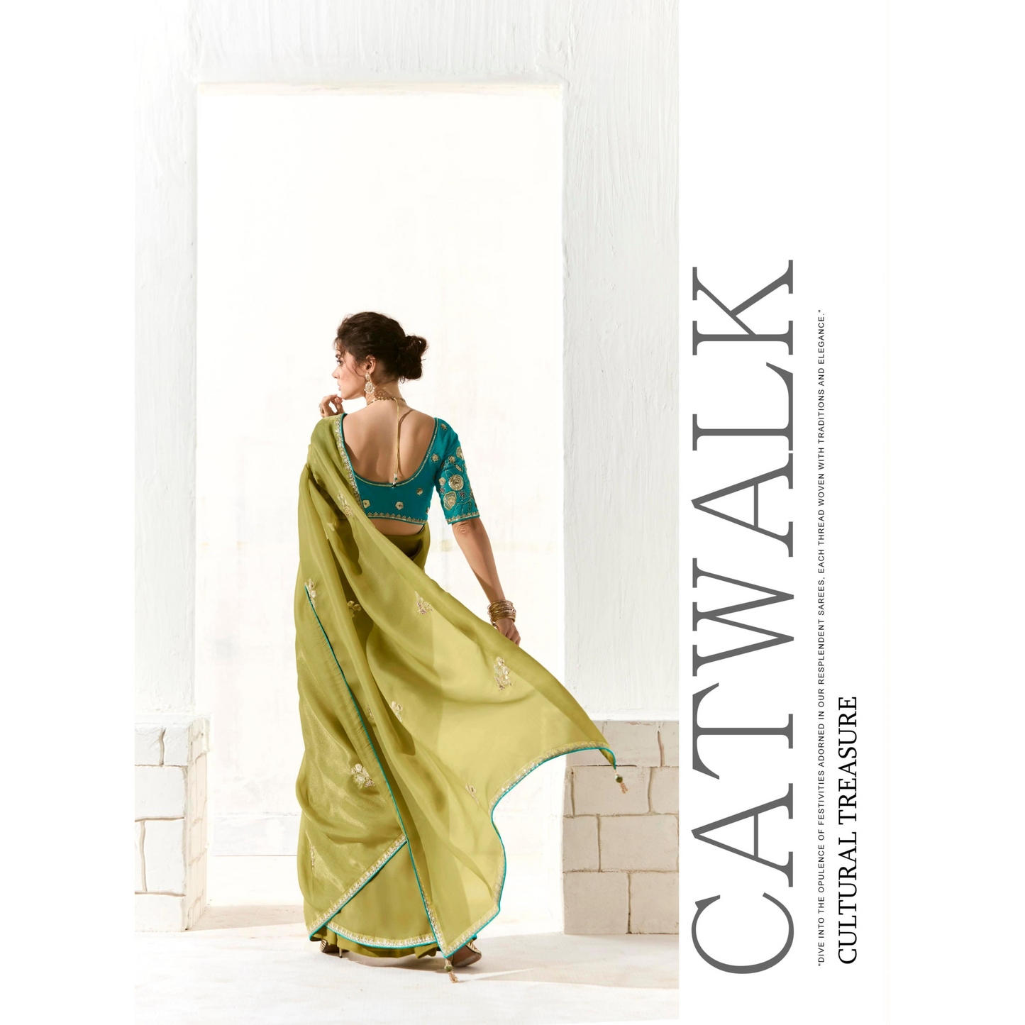 light green with a blue Runway Organza Tissue Saree with Heavy Embroidered Border