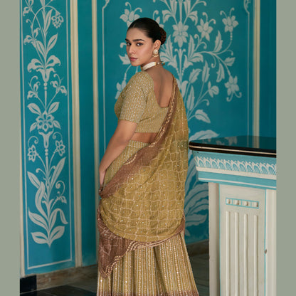 Sitara Luxe Georgette Set